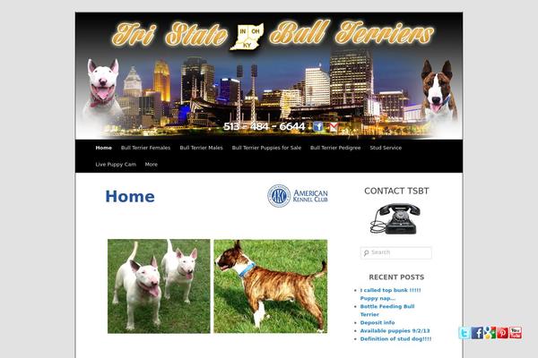 Site using Floating Social Media Icon plugin