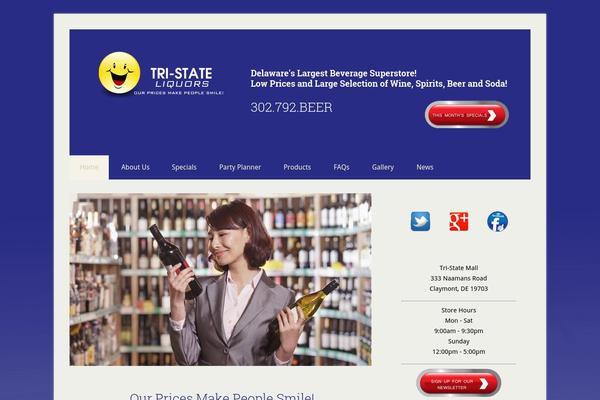 Lifestyle Pro theme site design template sample
