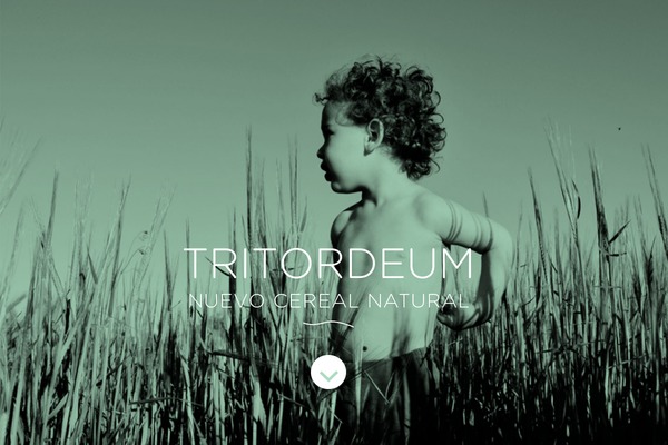 Child-theme theme site design template sample