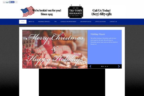 Tsm-theme-1 theme site design template sample