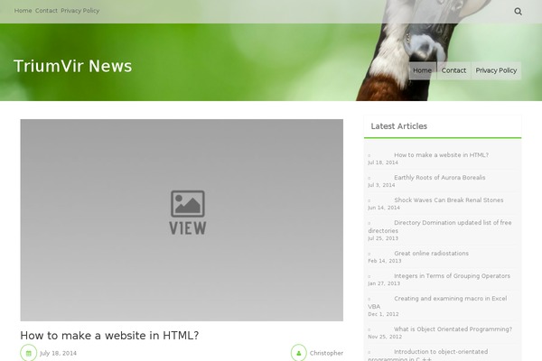 Aldehyde theme site design template sample