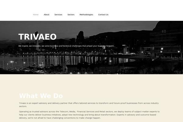 trivaeo.com site used Twenty Twenty