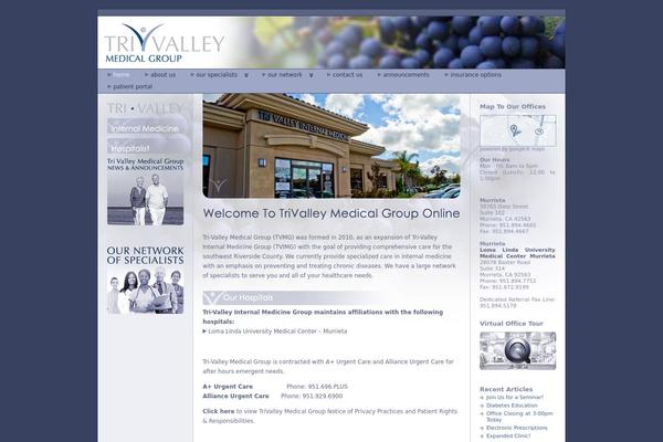 Atahualpa353 theme site design template sample