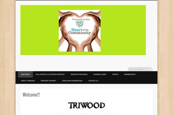 Pinboard theme site design template sample