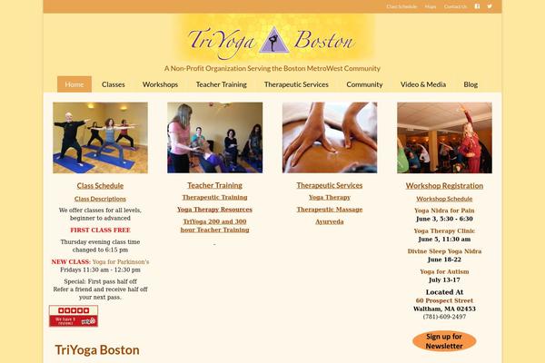 Virtue Premium theme site design template sample