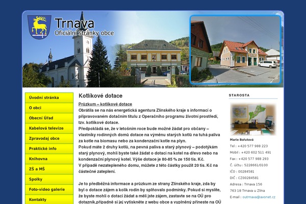 Neoclassical theme site design template sample
