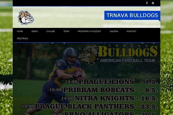 Site using Dysania-grid-gallery plugin