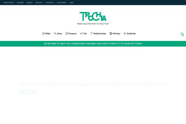 Site using Searchwp plugin