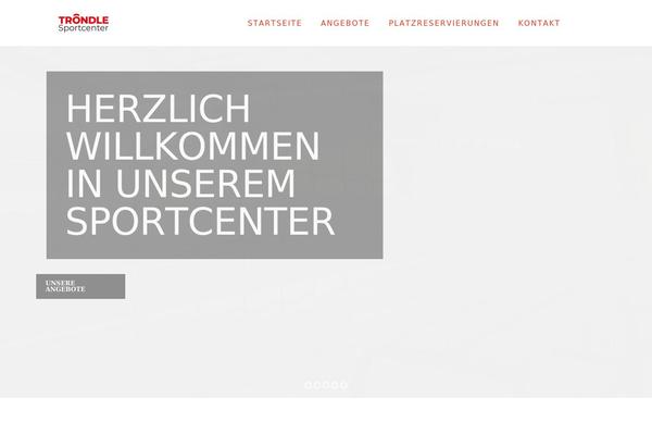 Rayko theme site design template sample