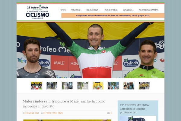 Dandelion theme site design template sample