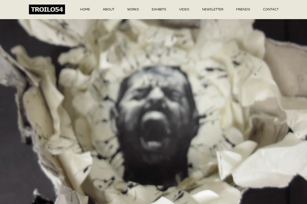 troilo54.com site used THEONE