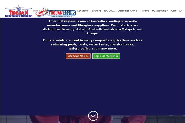 TopShop theme site design template sample