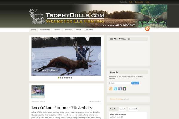 Fresh News theme site design template sample