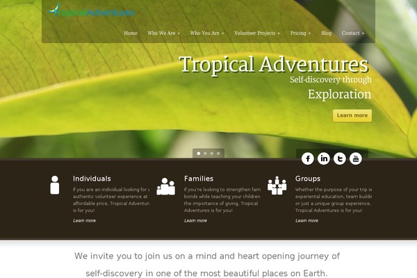 Green Earth  V1-05 theme site design template sample