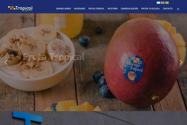 Realfactory theme site design template sample