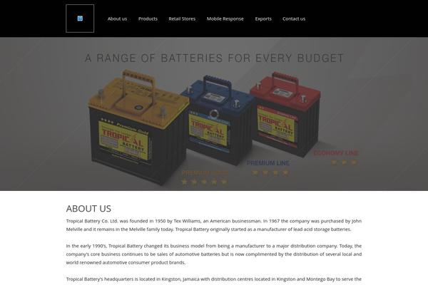 Salient theme site design template sample