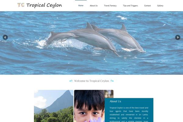 Tours theme site design template sample