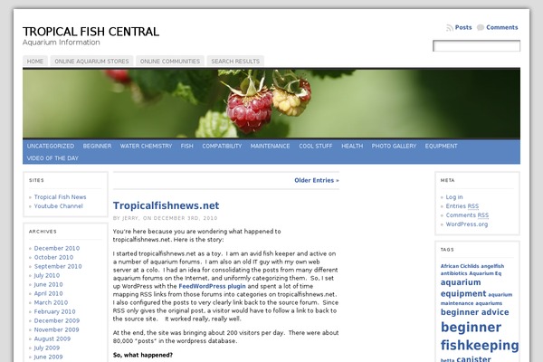Atahualpa353 theme site design template sample