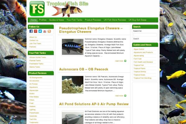Newsium-pro theme site design template sample