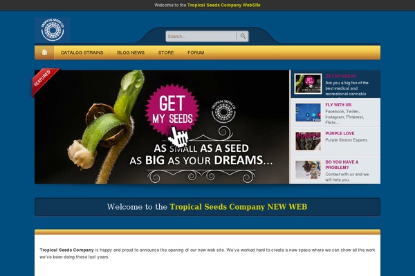 Bellissima theme site design template sample