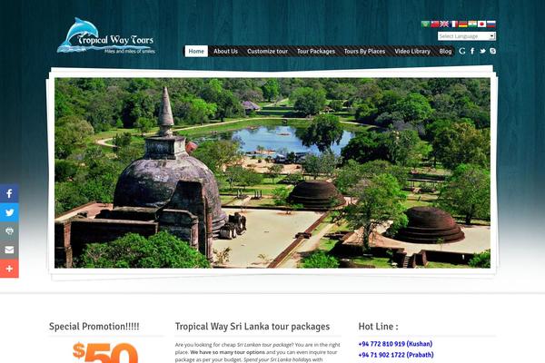 Midway theme site design template sample