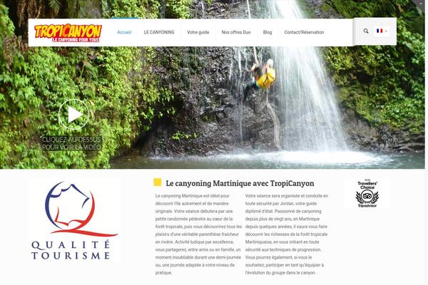 Site using WP Video Lightbox plugin