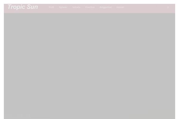 Ronneby theme site design template sample