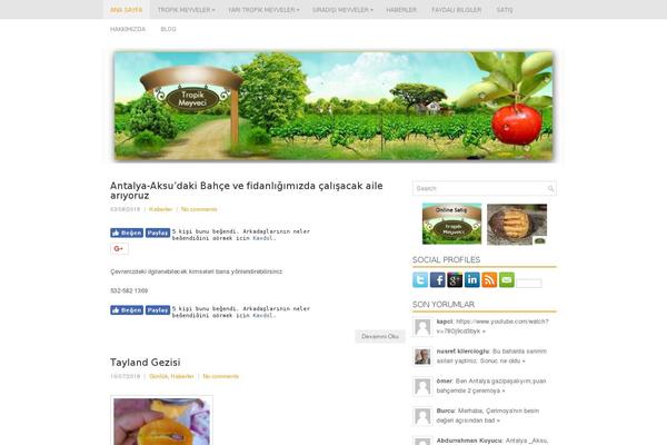 Site using Hustle plugin