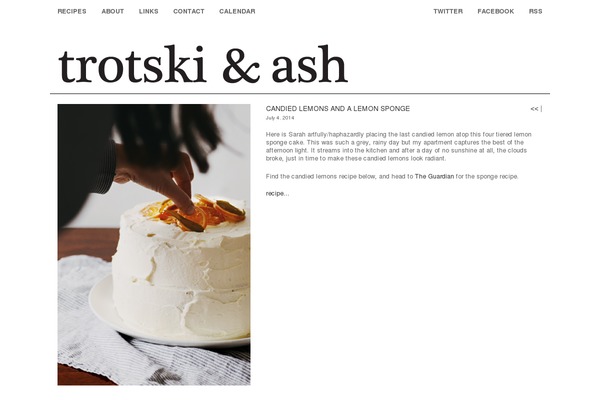 Agent-focused-pro theme site design template sample