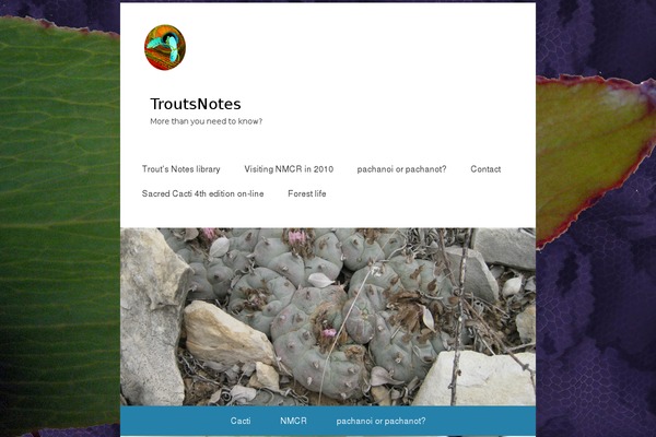 Catch Kathmandu theme site design template sample