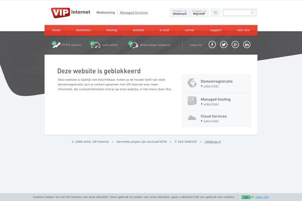 Vipinternethomepage theme site design template sample