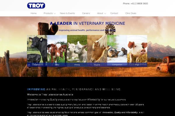 Customtheme theme site design template sample