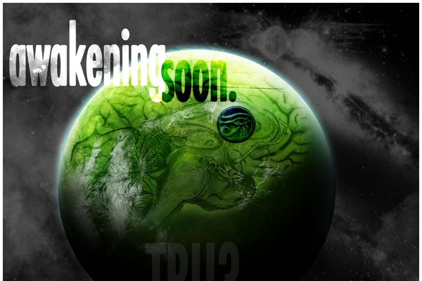 Abundance theme site design template sample