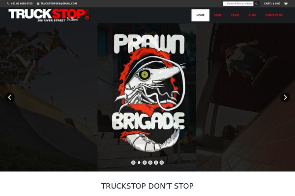 Big Point theme site design template sample