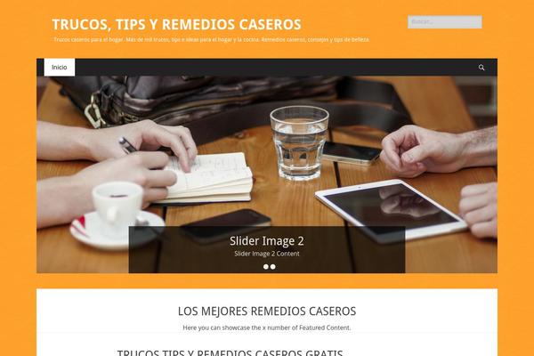 Catch Responsive theme site design template sample