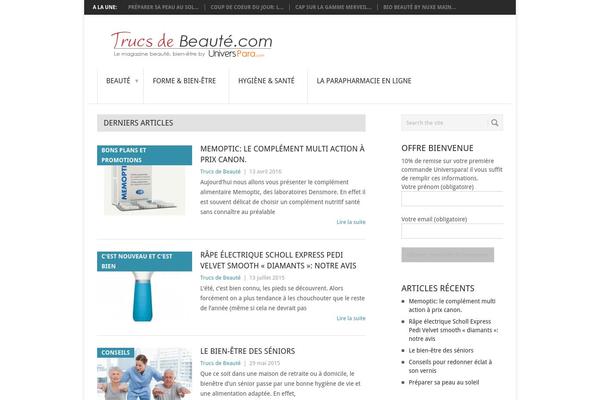Point theme site design template sample