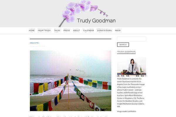 Tuneup theme site design template sample