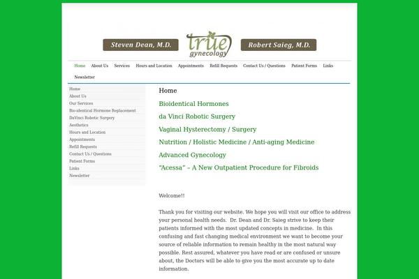 Snow Summit theme site design template sample