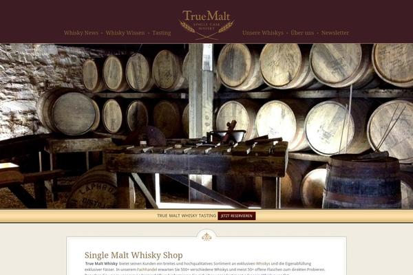 Ten-blog theme site design template sample
