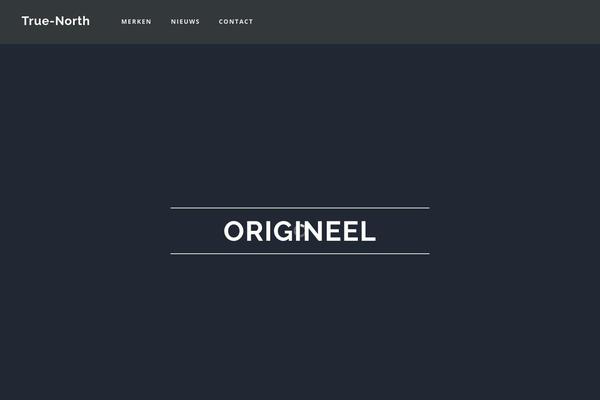 true-north.nl site used Austin