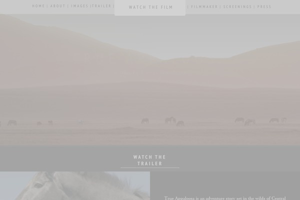 Site using Fv-player-pro plugin
