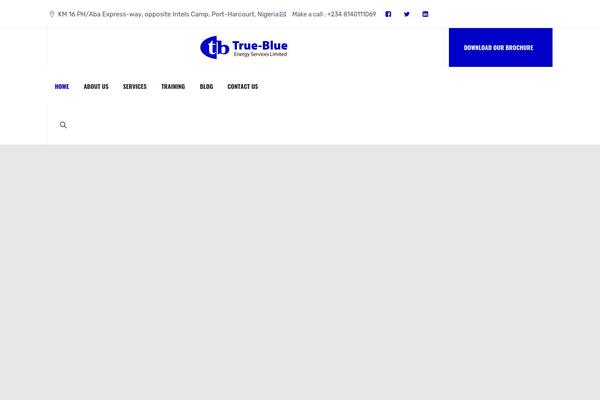 Site using Enginir-addons plugin