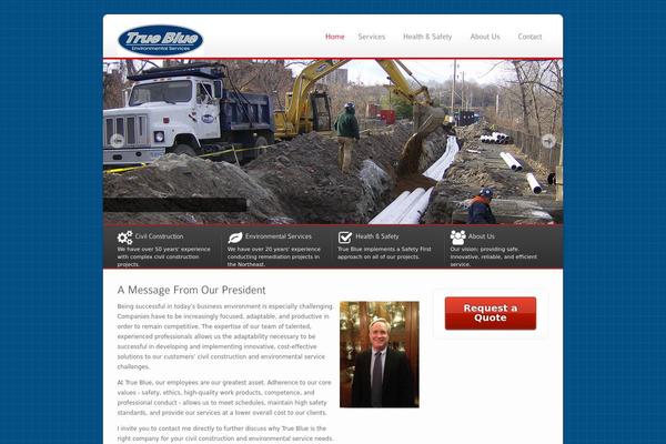 trueblueenvironmental.com site used Ecobiz