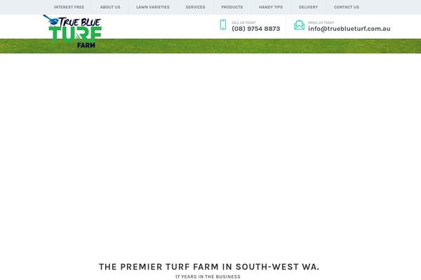 trueblueturf.com.au site used Trueblueturf