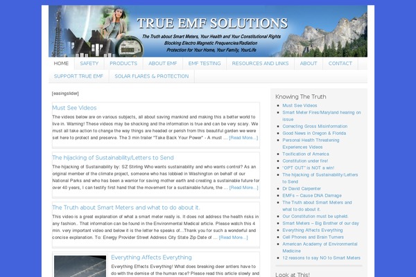 Lifestyle Pro theme site design template sample