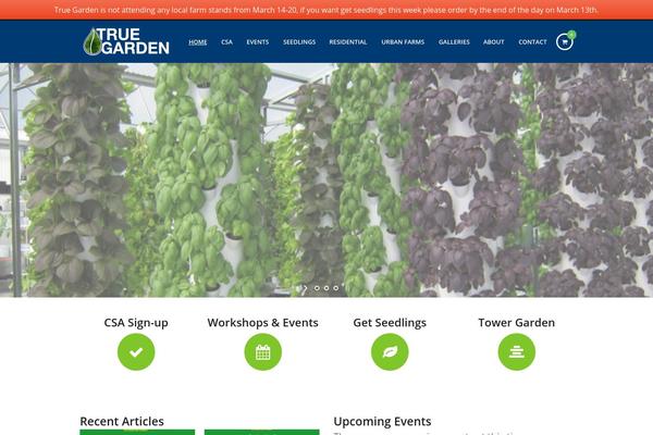 Thunder theme site design template sample