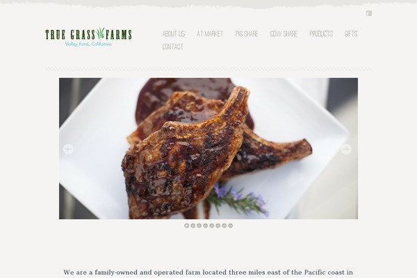 Good Minimal theme site design template sample
