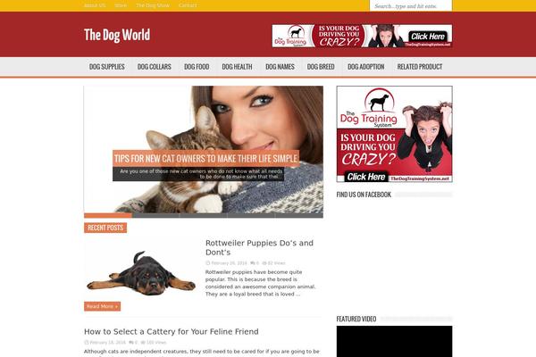 Magnews1.2 theme site design template sample