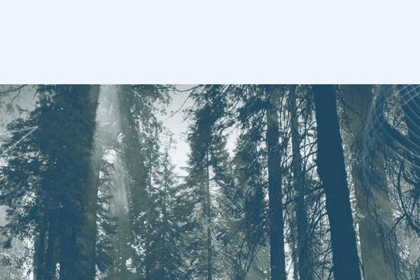 Enfold-child theme site design template sample