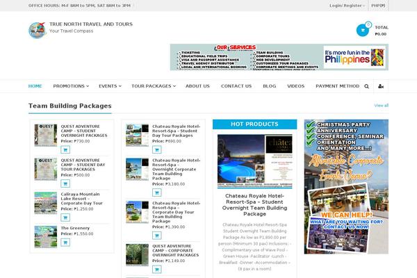 eStore theme site design template sample